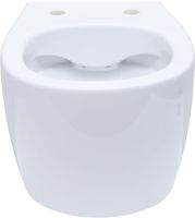 Унитаз с инсталляцией Allen Brau Fantasy 4.11004.20/8.9466.0.000.000.1 белый глянец 00316504 — фото 1, Комплекты унитаз + инсталляция