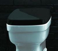 Сиденье с крышкой SIMAS EVOLUTION с микролифтом цвет черный петли хром EVO004.NE — фото 1, Сиденья для унитаза