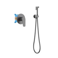 БЕТТА набор с гигиеническим душем (смеситель + гигиеническая лейка + шланг + шланговое подсоединение с держателем), оружейная сталь арт-AQ1119BGM — фото 1, Гигиенические души