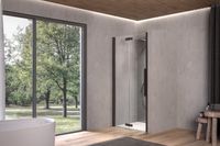 POLARIS FOLD N - 100 - R - BLACK PROFILE - TRANSPARENT 516440 — фото 1, Душевые двери в нишу