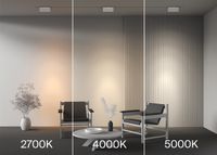 Трековый светильник Technical TR223-1-12WCCT-W-W — фото 6, Трековые светильники