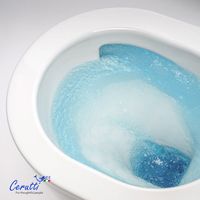 Унитаз SELLA Aria Tornado подвесной безободковый со смывом торнадо Ceruttispa CT9529 (490х370х370) — фото 3, Подвесные унитазы