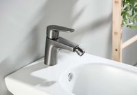 Товар: AQ1118BGM БЕТТА смеситель для биде, оружейная сталь - фото 5 AQ1118BGM БЕТТА смеситель для биде, оружейная сталь — фото 5, Смесители для биде