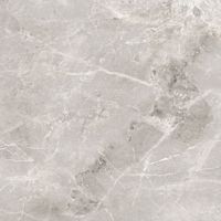 Керамогранит Tulip_GT Сер. 60x60 _ 1\54,72 арт-GT606012101SPR — фото 6, Керамогранит