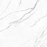 Товар: Плитка 2462 57054 Forte Dei Marmi арт.610010002716 - фото 1 Плитка 2462 57054 Forte Dei Marmi арт.610010002716 — фото 1, Керамическая плитка