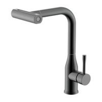 Смеситель для кухни с мультифункциональным изливом Splenka S206.49.09, графит — фото 1, Смесители для кухни