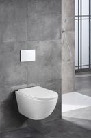 Товар: Унитаз подвесной Azario Trevi 495х360х390 безободковый, слив "Скрытое Торнадо", в комплекте с сидением микролифт, белый арт-AZ-0093UQ3 - фото 13 Унитаз подвесной Azario Trevi 495х360х390 безободковый, слив "Скрытое Торнадо", в комплекте с сидением микролифт, белый арт-AZ-0093UQ3 — фото 13, Подвесные унитазы