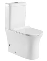 Чаша напольного унитаза Aquanet Rimless CL-12249B арт-Roll-C — фото 1, Напольные унитазы