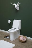 Чаша напольного унитаза Aquanet Rimless CL-12249B арт-Roll-C — фото 13, Напольные унитазы