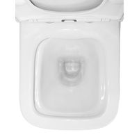 Унитаз-компакт Azario Rise 385х623х792 напольный, безободковый с быстросъемным сиденьем микролифт арт-AZ-68D — фото 8, Напольные унитазы