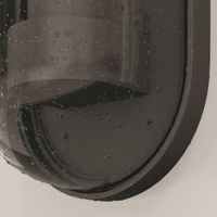 Настенный светильник (бра) Outdoor O449WL-01GF — фото 5, Уличное освещение