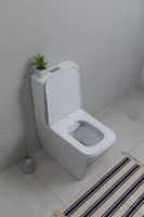 Товар: Чаша напольного унитаза Aquanet Rimless LX-2905 арт-Tavr 2.0 C1 - фото 10 Чаша напольного унитаза Aquanet Rimless LX-2905 арт-Tavr 2.0 C1 — фото 10, Напольные унитазы