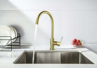 Товар: ОБЕРОН смеситель для кухни, шлиф. золото арт-AQ1282BG - фото 6 ОБЕРОН смеситель для кухни, шлиф. золото арт-AQ1282BG — фото 6, Смесители для кухни