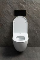 Чаша подвесного унитаза Allen Brau Priority Tornado белый глянец арт-4.31008.20 — фото 11, Подвесные унитазы