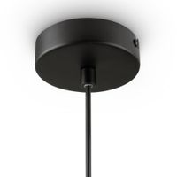 Подвесной светильник Freya FR1011PL-01B2 — фото 5, Подвесные светильники