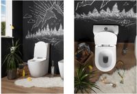 Товар: Сливной бачок Aquanet Cetus-C2 BL-102N-TPT - фото 8 Сливной бачок Aquanet Cetus-C2 BL-102N-TPT — фото 8, Комплектующие для туалета