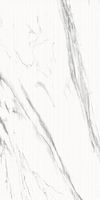 Керамогранит Lasa_GT Бел. 60x120 карвинг _ 1\46,08 арт-GT120603903MCR2 — фото 2, Керамогранит