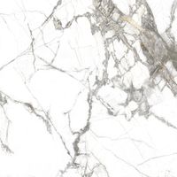 Керамогранит Everest_GT Белый 60x60 _ 1\43,2 арт-GT606013103MR — фото 10, Керамогранит