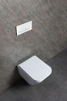 Чаша подвесного унитаза Allen Brau Liberty белый арт-4.33012.20 — фото 14, Подвесные унитазы