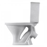 Унитаз-компакт "Вест" наклонный выпуск, с кнопочной арматурой и сиденьем, крап на белом. SANTERI 1P2018S0100BF — фото 1, Напольные унитазы