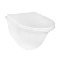 Товар: Унитаз подвесной Azario Felice 490х360х360 безободковый, быстросъемное сиденье микролифт арт-AZ-0051 - фото 10 Унитаз подвесной Azario Felice 490х360х360 безободковый, быстросъемное сиденье микролифт арт-AZ-0051 — фото 10, Подвесные унитазы