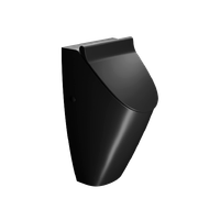 COMMUNITY с безободковой системой смыва с крышкой фаянсовый черный матовый арт-909826 — фото 1, Писсуары