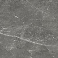 Керамогранит Tulip_GT Темно-сер. 60x60 _ 1\54,72 арт-GT606012109SPR — фото 1, Керамогранит