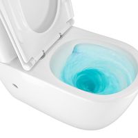 Товар: Унитаз-компакт Azario RIANO 355х620х790 напольный, безободковый, слив "Торнадо" с быстросъемным сиденьем "Микролифт" арт-AZ-1307A - фото 14 Унитаз-компакт Azario RIANO 355х620х790 напольный, безободковый, слив "Торнадо" с быстросъемным сиденьем "Микролифт" арт-AZ-1307A — фото 14, Напольные унитазы