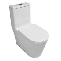 Товар: Унитаз-моноблок Azario Eagle 690х360х800 безободковый, слив "Торнадо", с быстросъемным сиденьем "Микролифт" арт-AZ-80673 - фото 15 Унитаз-моноблок Azario Eagle 690х360х800 безободковый, слив "Торнадо", с быстросъемным сиденьем "Микролифт" арт-AZ-80673 — фото 15, Напольные унитазы