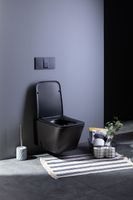 Товар: Унитаз подвесной Aquanet Rimless Tavr-W BL-103N-WHT black черный матовый TAVR-W BW - фото 19 Унитаз подвесной Aquanet Rimless Tavr-W BL-103N-WHT black черный матовый TAVR-W BW — фото 19, Подвесные унитазы