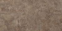 Товар: Плитка Гранитея G224-Iremel Brown 600x1200 MR (2.16 кв.м) - фото 1 Плитка Гранитея G224-Iremel Brown 600x1200 MR (2.16 кв.м) — фото 1, Керамическая плитка