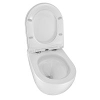 Товар: Унитаз подвесной Azario ORMI 490х360х365 безободковый, система смыва Торнадо, с быстросъемным сиденьем микролифт арт-AZ-0253VD - фото 3 Унитаз подвесной Azario ORMI 490х360х365 безободковый, система смыва Торнадо, с быстросъемным сиденьем микролифт арт-AZ-0253VD — фото 3, Подвесные унитазы