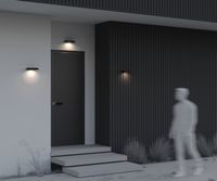 Товар: Настенный светильник (бра) Outdoor OSL456WL-L2GF3K - фото 9 Настенный светильник (бра) Outdoor OSL456WL-L2GF3K — фото 9, Уличное освещение