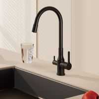 Смеситель для кухни с гибким изливом и подключением фильтра BELZ , черный арт-B76814-7 — фото 1, Смесители для кухни