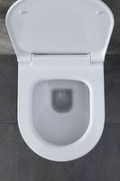 Унитаз с инсталляцией Allen Brau Priority, клавиша хром 301296+301297+306274+306276 — фото 28, Комплекты унитаз + инсталляция