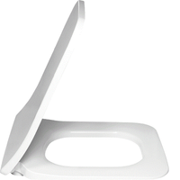 Сиденье для унитаза, Villeroy&Boch, Architectura, тип шарниров-SoftClose, Quick Release, материал шарниров-нержавеющая сталь, цвет шарниров-нержавеющая сталь, декор-без декора, цвет-альпийский белый арт-9M81S101 — фото 1, Сиденья для унитаза