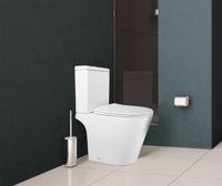 Унитаз-компакт Azario Flin 365х590х790 напольный, безободковый с быстросъемным сиденьем микролифт арт-AZ-1363C — фото 15, Напольные унитазы