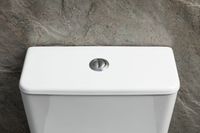 Чаша напольного унитаза Allen Brau Priority Tornado белый глянец арт-4.31006.20 — фото 7, Напольные унитазы