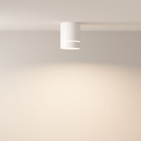 Потолочный светильник Technical арт-C085CL-9W4K-W — фото 4, Подвесные светильники