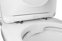 Товар: Унитаз-компакт Azario Wandy 350х614х795 напольный, безободковый, с быстросъемным сиденьем микролифт арт-AZ-56D - фото 6 Унитаз-компакт Azario Wandy 350х614х795 напольный, безободковый, с быстросъемным сиденьем микролифт арт-AZ-56D — фото 6, Напольные унитазы