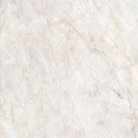 Керамогранит Adani_GT Беж. 60x60 _ 1\54,72 арт-GT606019202SPR — фото 15, Керамогранит