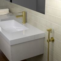 Смеситель для раковины с гигиеническим душем Timo Saona 2360/17G золото матовое — фото 1, Смесители для раковины