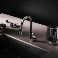 F85B07500 X-Joy S, смеситель для кухни с вытягивающимся изливом, хром — фото 2, Смесители для кухни