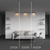 Трековый светильник Technical TR189-1-12W2.7K-BBS — фото 5, Трековые светильники