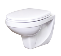 ПЭК Унитаз Рио подвесной с сиденьем микролифт, инсталляция DI c хром панелью (2 кнопки) ROSA Вн ПуР03 — фото 1, Подвесные унитазы