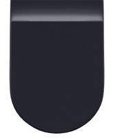 Чаша приставного унитаза Allen Brau Reality 4.32004.AN антрацит — фото 1, Приставные унитазы