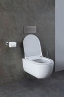 Товар: Унитаз Allen Brau Priority 4.31001.20 подвесной без сиденья - фото 45 Унитаз Allen Brau Priority 4.31001.20 подвесной без сиденья — фото 45, Подвесные унитазы