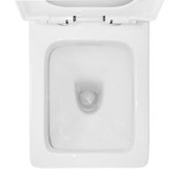 Товар: Унитаз-моноблок Azario RAYO 355х685х775 безободковый,с системой смыва Rimless, с быстросъемным сиденьем микролифт арт-AZ-6385 - фото 5 Унитаз-моноблок Azario RAYO 355х685х775 безободковый,с системой смыва Rimless, с быстросъемным сиденьем микролифт арт-AZ-6385 — фото 5, Напольные унитазы