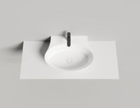 Раковина накладная ALDA WALL 01
покраска по RAL полностью 140321MF — фото 6, Раковины