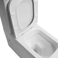 Унитаз напольный Azario Indor безободковый, в комплекте с бачком и сиденьем микролифт, дюропласт 820*630*360 арт-AZ-T004B-R — фото 4, Напольные унитазы